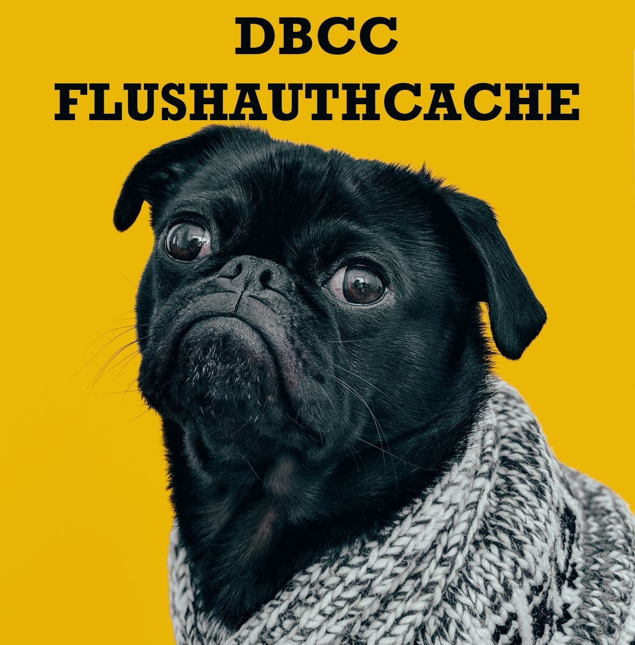 DBCC FLUSHAUTHCACHE